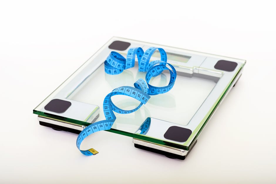 best food scales for weight loss
