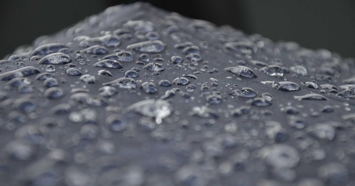 Best Diets for Belly Fat Loss in 2026