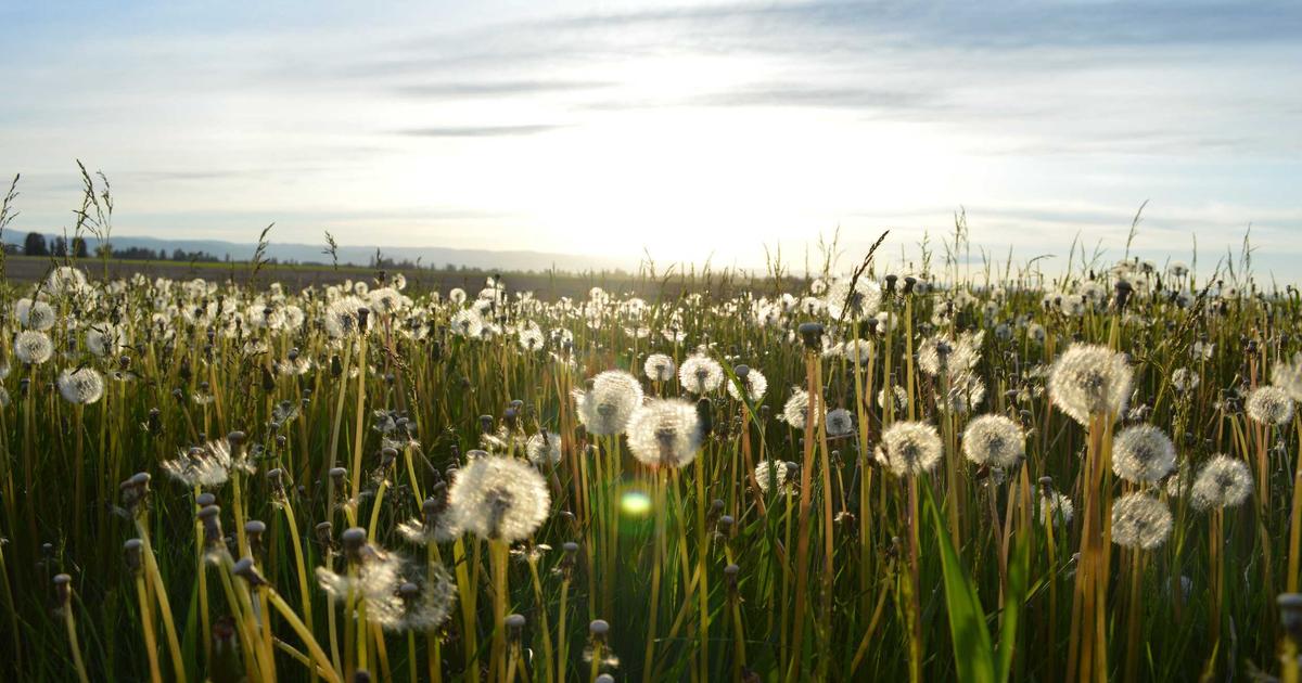 10 Best Food Scales for Weight Loss in 2026