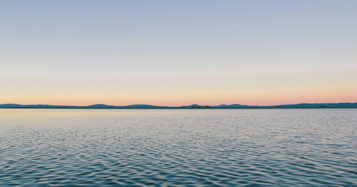 10 High Protein Low Calorie Meals for Weight Loss in 2026