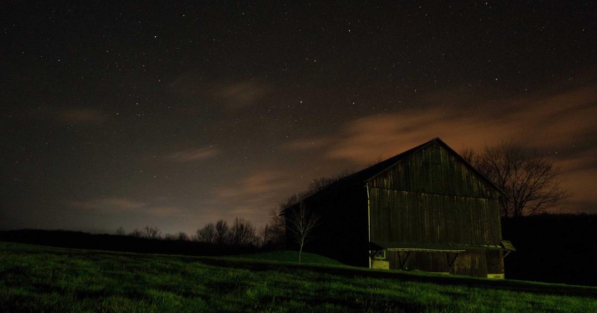 High Protein Low Iodine Diet: 7-Day Meal Plan for Weight Loss