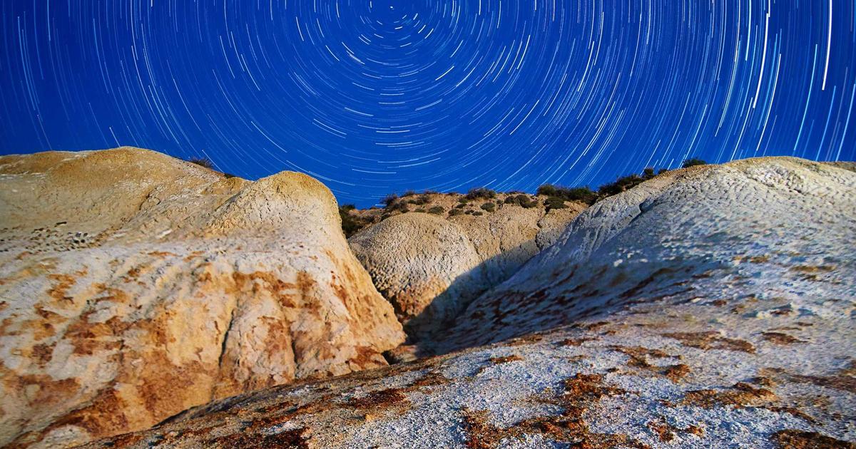 High Protein Low Phosphorus Snacks: Kidney-Friendly Picks for Weight Loss