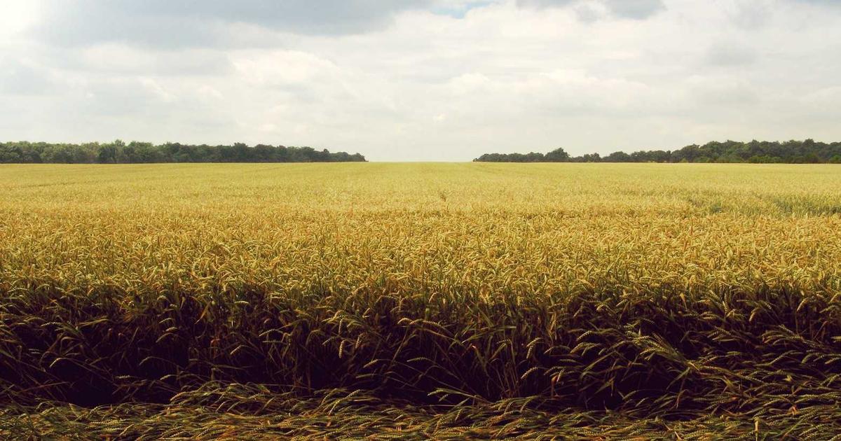 Intermittent Fasting Schedule: 9 Proven Tips (2026)