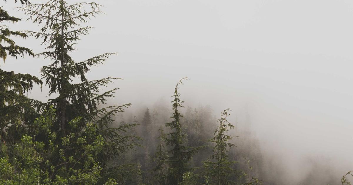 Intermittent Fasting: New Research Questions Its Weight Loss Efficacy