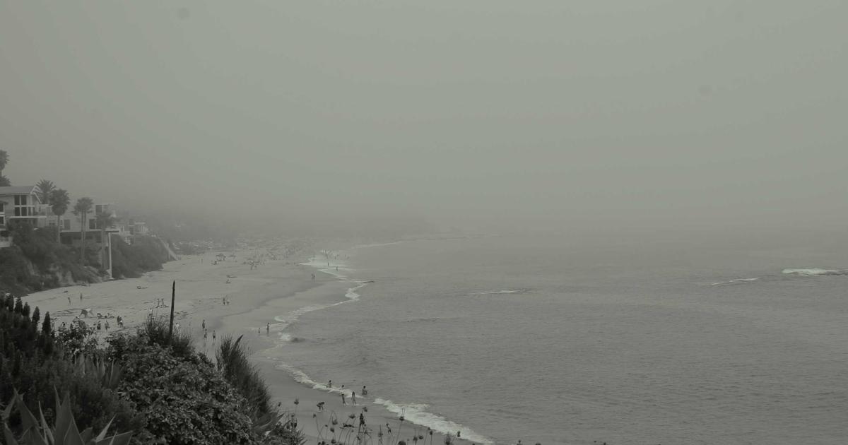 Low Sodium Meal Plan: 7-Day High-Protein Weight Loss Menu