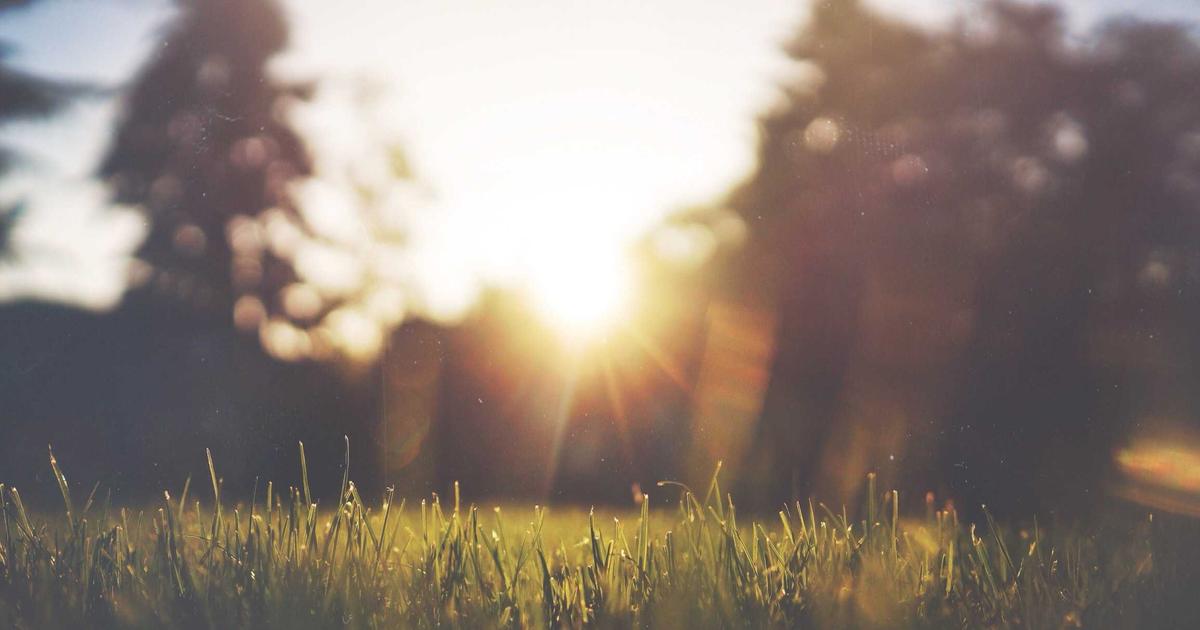 Top Food Scales for Accurate Portion Control in 2026